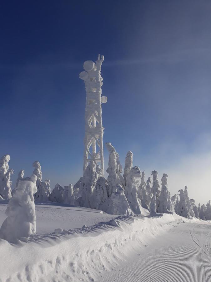 Chata Stred Kubinska Hola Dolny Kubin Bagian luar foto