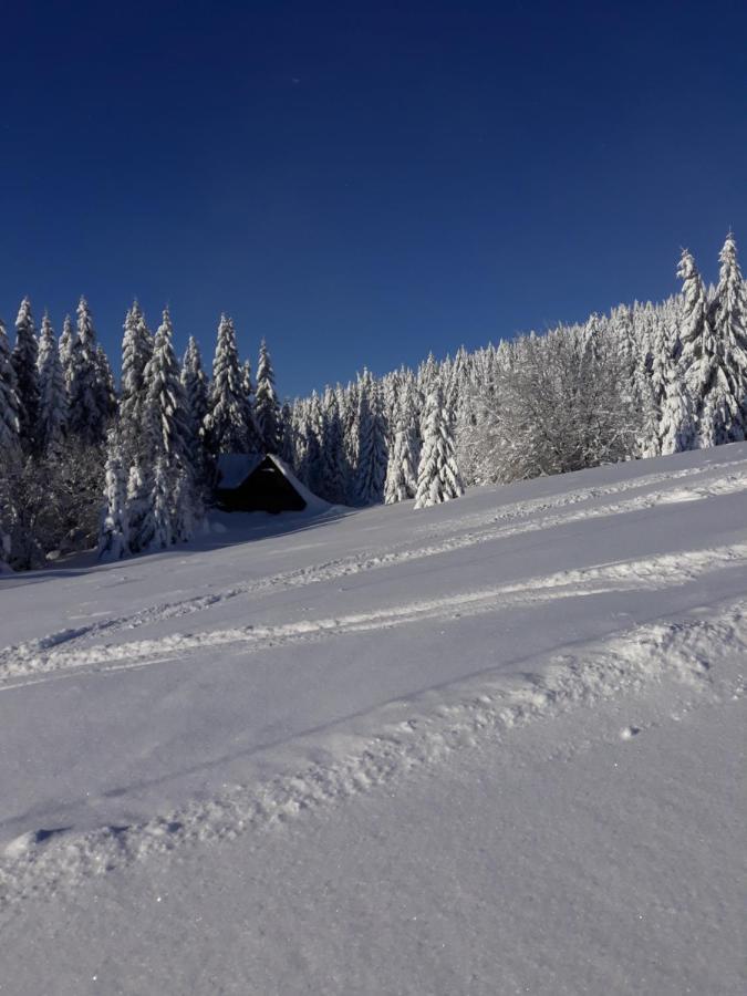 Chata Stred Kubinska Hola Dolny Kubin Bagian luar foto