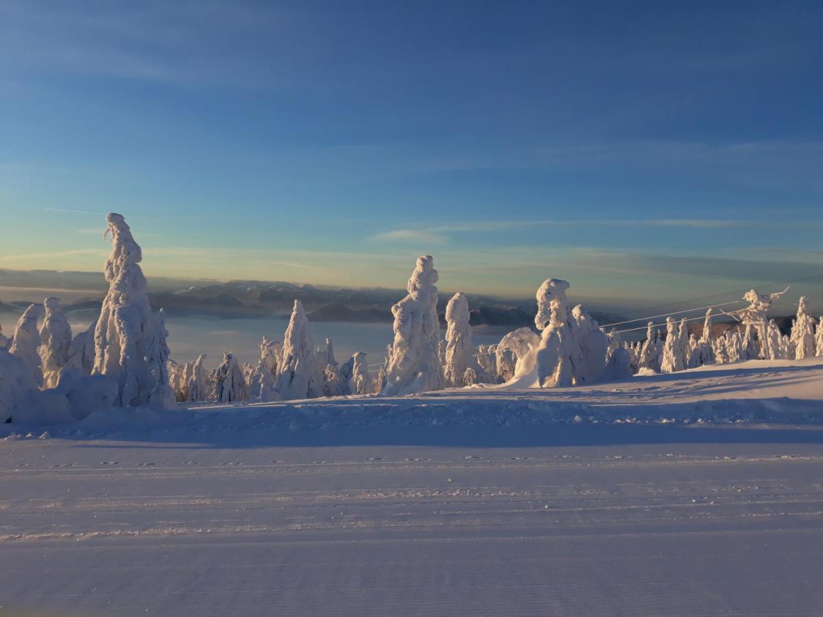 Chata Stred Kubinska Hola Dolny Kubin Bagian luar foto