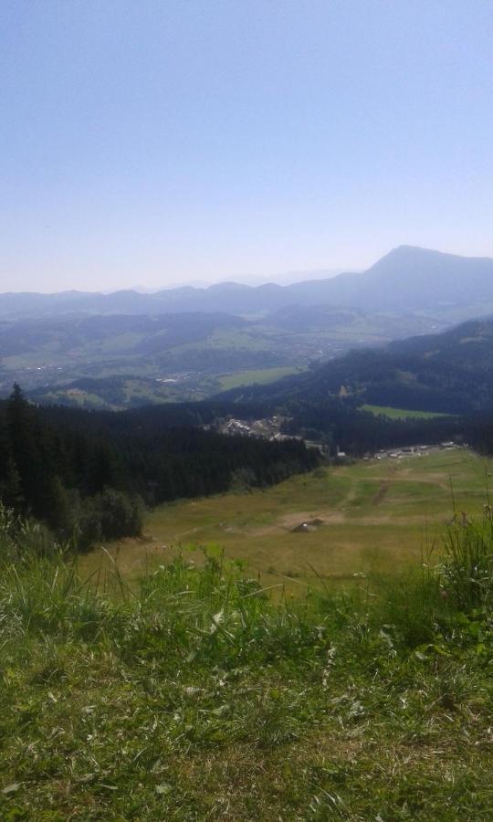 Chata Stred Kubinska Hola Dolny Kubin Bagian luar foto